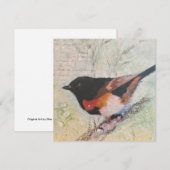 Carte de vœux American Redstart (Devant / Derrière)