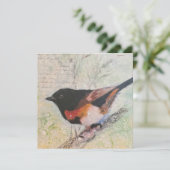 Carte de vœux American Redstart (Debout devant)