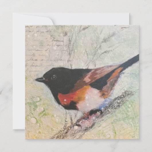 Carte de vœux American Redstart (Devant)