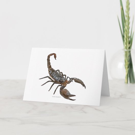Carte de voeux amicale d'aquarelle de scorpion (Devant)