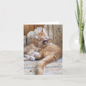 Carte de vœux Amour de chaton (Devant)