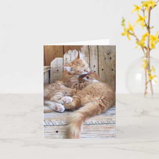 Carte de vœux Amour de chaton (Fleur jaune)