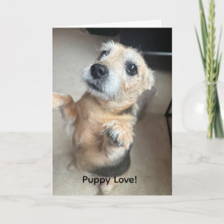 Carte de vœux Amour de chiot