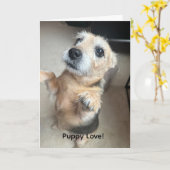 Carte de vœux Amour de chiot (Fleur jaune)