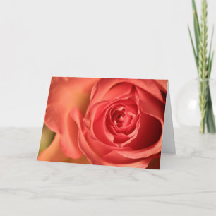 Carte de vœux amour rose rose tendre