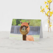 Carte de voeux amusante Alpaca (Fleur jaune)