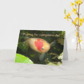 Carte de voeux amusante de poisson rouge (Fleur jaune)