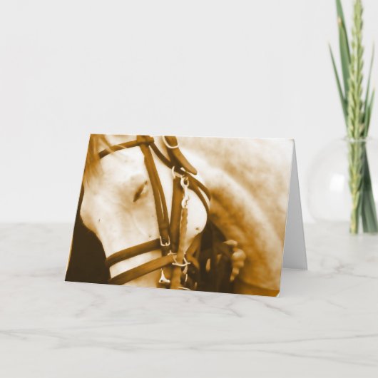 Carte de voeux andalouse (Devant)