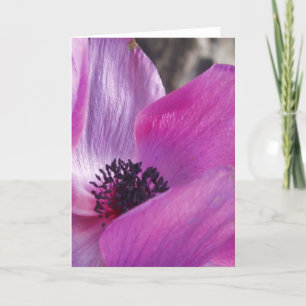 Carte de voeux Anemone Closeup