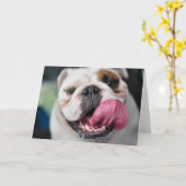 Carte de voeux anglaise de bouledogue (Fleur jaune)