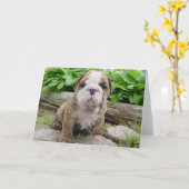 Carte de voeux anglaise de chiot de bouledogue (Fleur jaune)