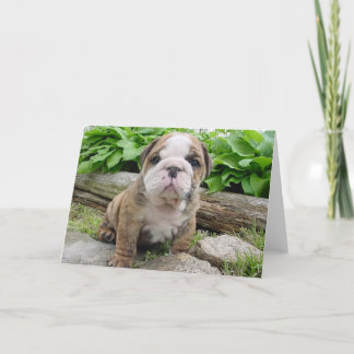 Carte de voeux anglaise de chiot de bouledogue