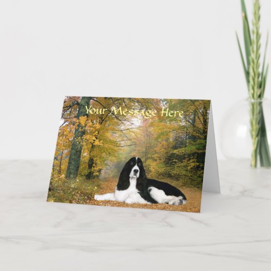 Carte de voeux anglaise Springer Spaniel (Devant)