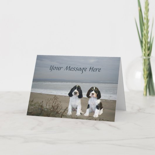 Carte de voeux anglaise Springer Spaniel (Devant)