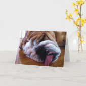 Carte de voeux anglaise vierge de bouledogue (Fleur jaune)
