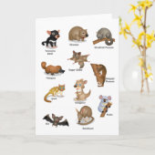 Carte de voeux animale australienne (Fleur jaune)
