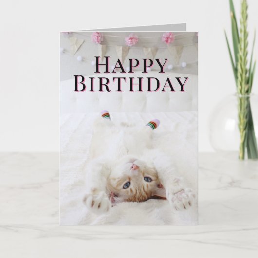 Carte de voeux Anniversaire Chat En Chaussettes (Devant)