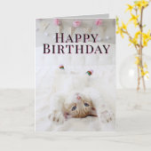 Carte de voeux Anniversaire Chat En Chaussettes (Fleur jaune)