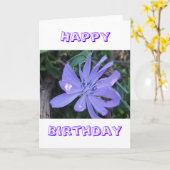 Carte de voeux anniversaire fleur sauvage bleu (Fleur jaune)