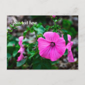 Carte de voeux annuelle rose (Devant)