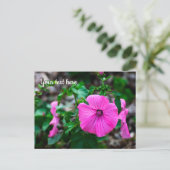 Carte de voeux annuelle rose (Debout devant)