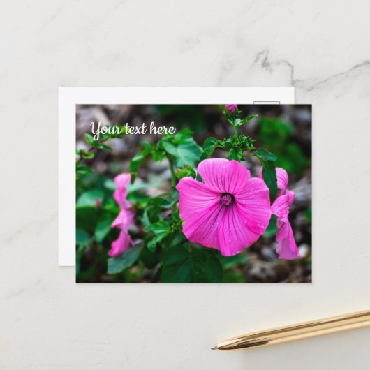 Carte de voeux annuelle rose (Devant/Arrière en situation)