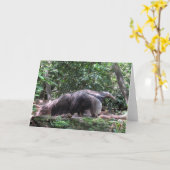 Carte de voeux Anteater (Fleur jaune)