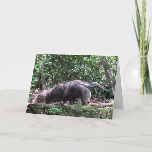 Carte de voeux Anteater (Devant)