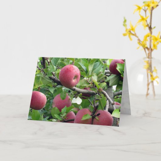 Carte de voeux Apple Tree (Fleur jaune)