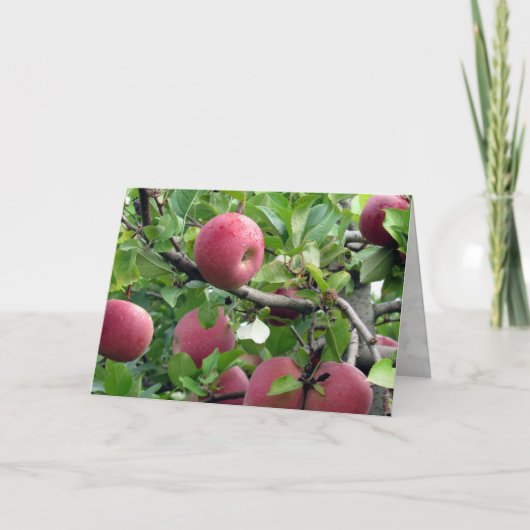 Carte de voeux Apple Tree (Devant)