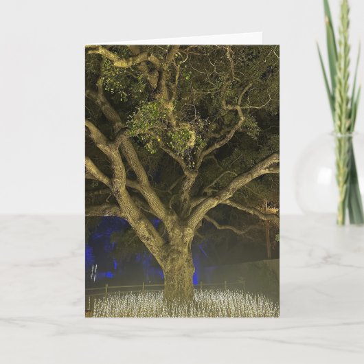 Carte de vœux Arbre de Lumière (Devant)