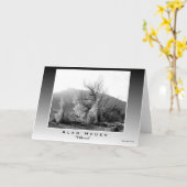 Carte de voeux ART WEST - "Wildwood" (Fleur jaune)