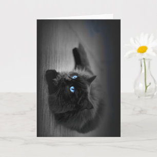 Carte de vœux artistique de chat aux yeux bleus de
