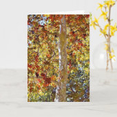 Carte de vœux artistique d'un sycomore en automne (Fleur jaune)