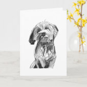 Carte de vœux au charbon de bois Cavapoo, Cadeau p (Fleur jaune)