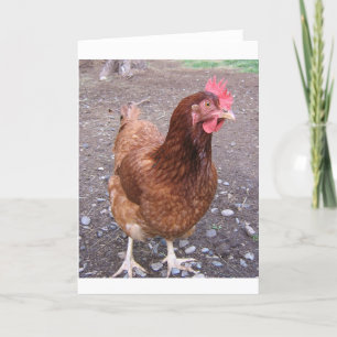 Carte de voeux au poulet