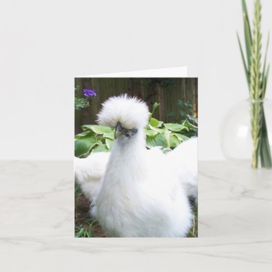 carte de voeux au poulet silkie (Devant)