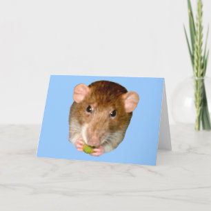 Carte de voeux au rat affamé