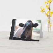 Carte de voeux : Aunty Del (Fleur jaune)