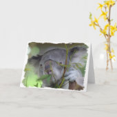 Carte de voeux australienne de koala (Fleur jaune)
