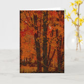 Carte de voeux Automne Après-Midi. (Fleur jaune)