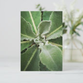 Carte de vœux aux feuilles vertes botaniques (Debout devant)