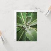 Carte de vœux aux feuilles vertes botaniques (Devant/Arrière en situation)