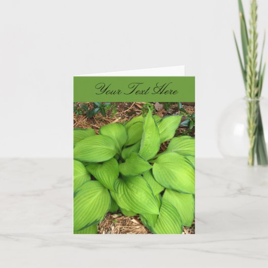 Carte de vœux aux feuilles vertes d'Hosta (Devant)