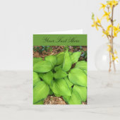 Carte de vœux aux feuilles vertes d'Hosta (Fleur jaune)