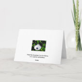 Carte de voeux aux fleurs blanches (Dos)