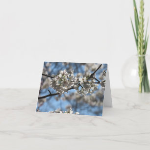Carte de vœux aux fleurs de cerisier envoûtantes