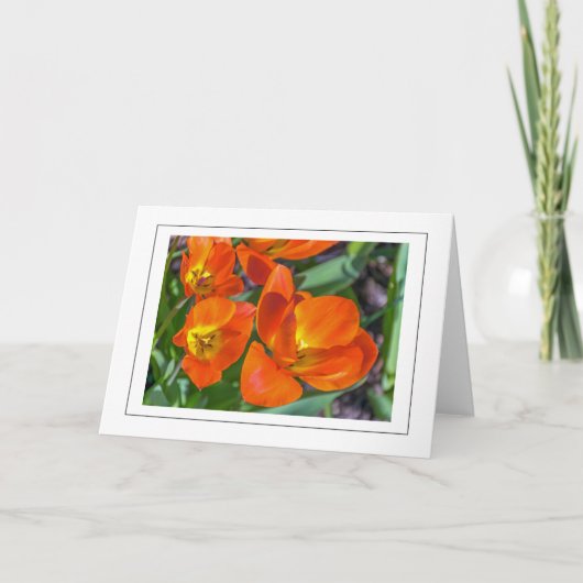 Carte de voeux aux fleurs orange vif (Devant)