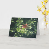 Carte de vœux avec cardinal sur le point de prendr (Fleur jaune)