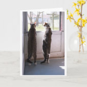 Carte de voeux avec chats (Fleur jaune)